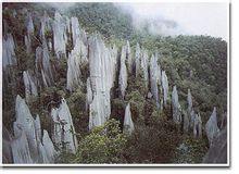 马来西亚姆鲁山剑状石林(石芽)