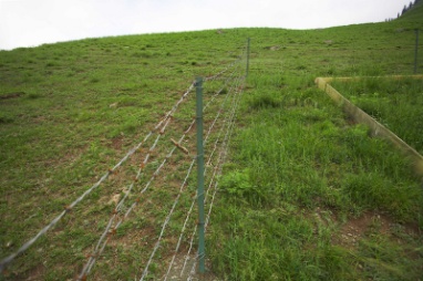 C:\WORK\已发图片\宣传册用\新建文件夹\阜康站－天山山区山地草原样地 s.jpg